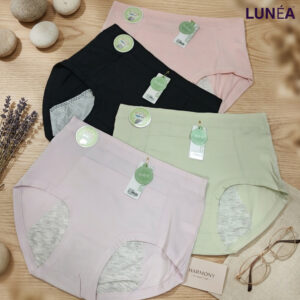 4 Pcs Panty Combo