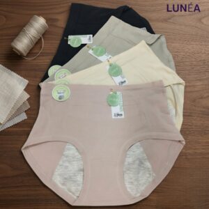 4 Pcs Panty Combo 1499Tk